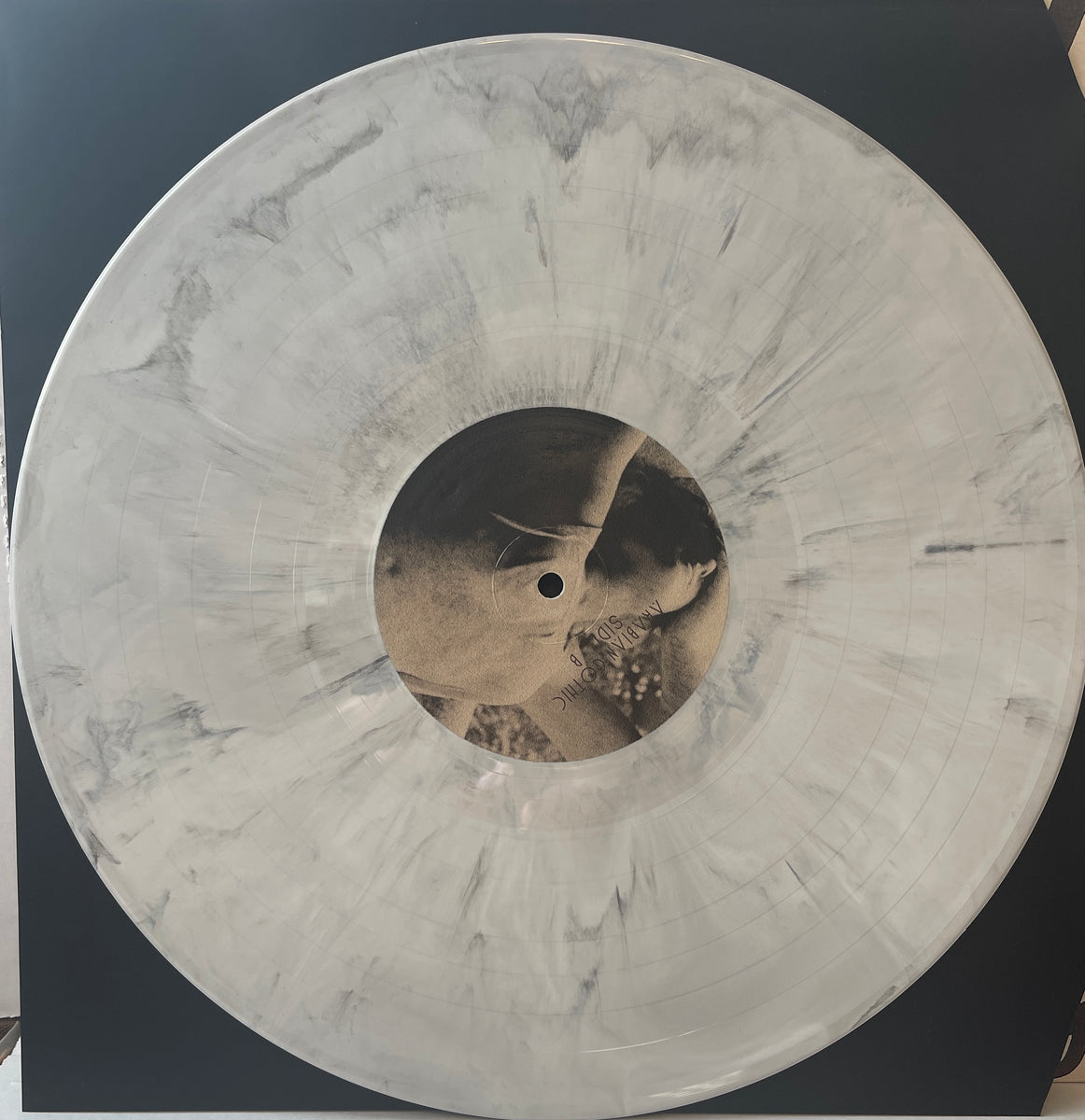 fullsizeoutput_8099_1200x1200.